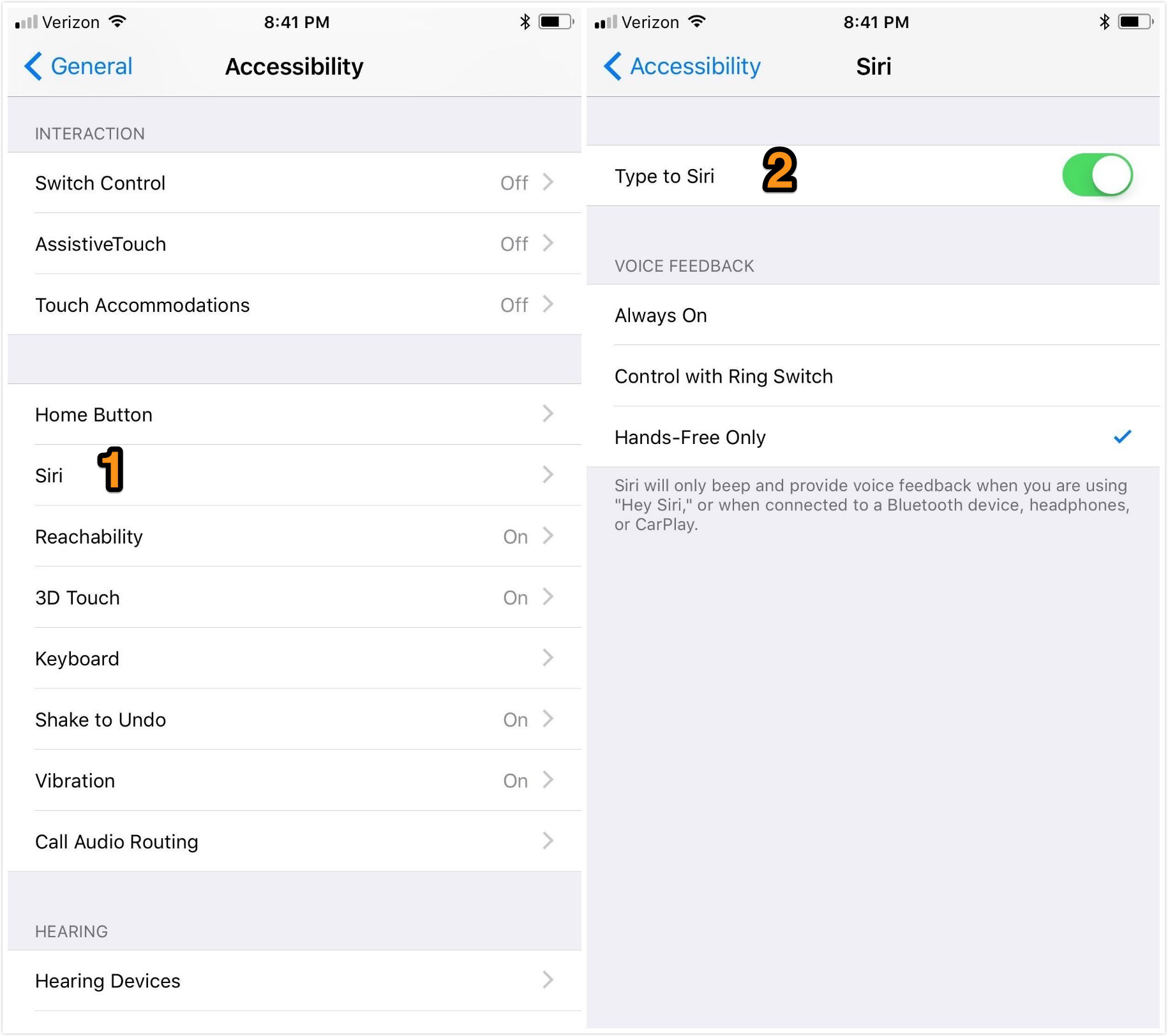 How to Turn On Type to Siri in iOS 11