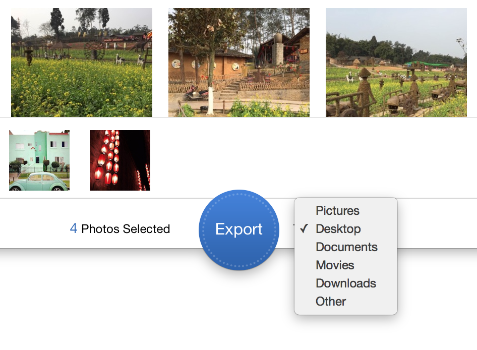 Photos in Camera Roll