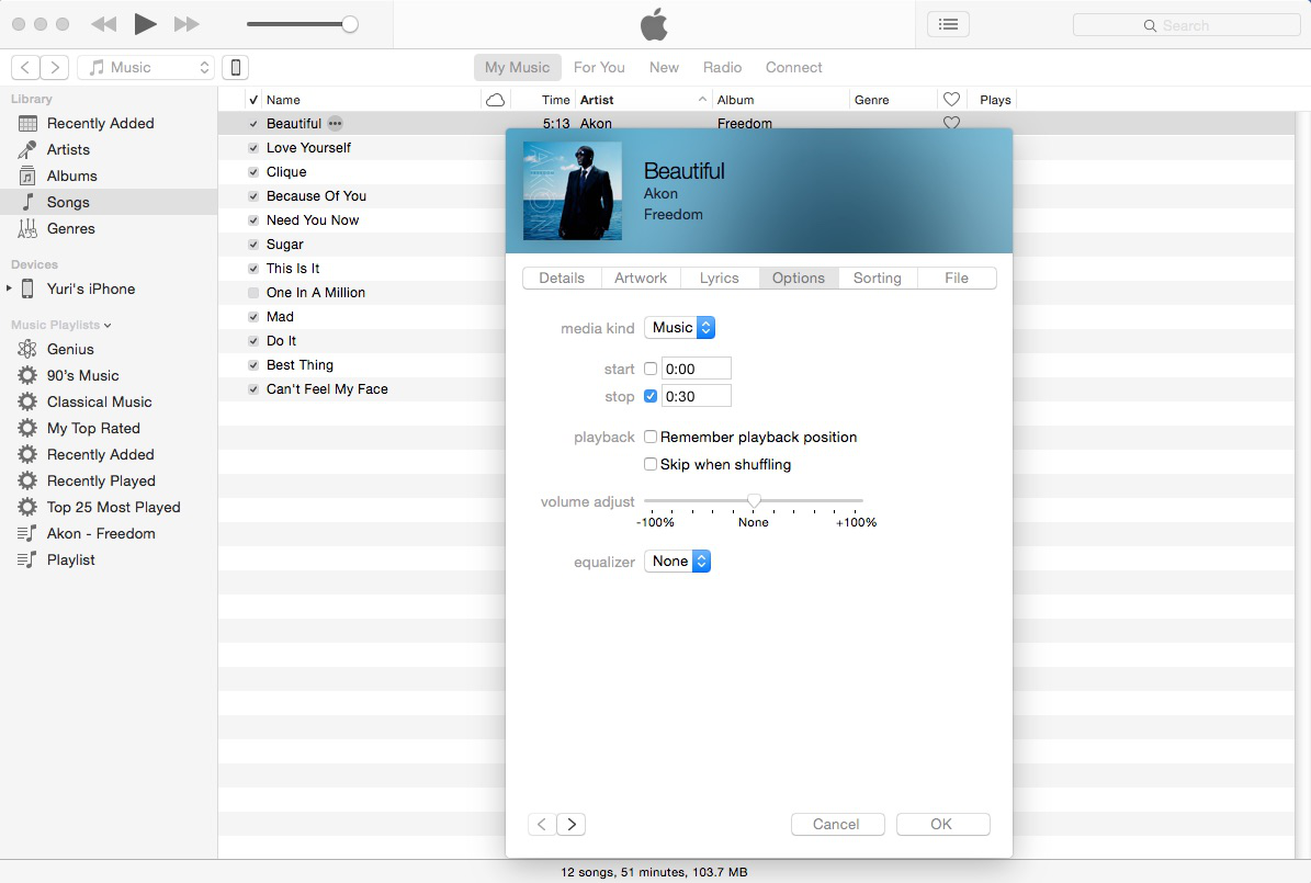iphone 12 pro ringtone settings