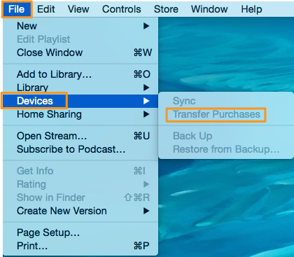 How to Transfer Ringtones from iPhone to iPhone with iTunes – Step 2