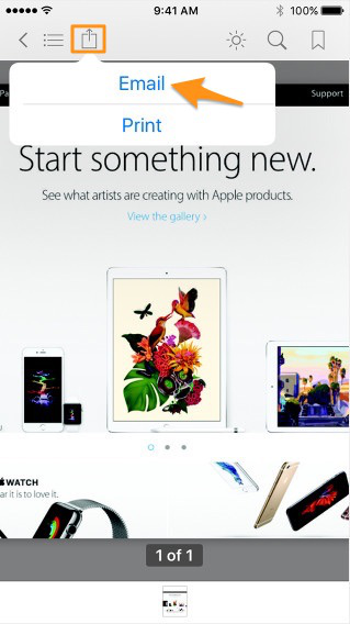 Transfer iBooks from iPhone to Computer by Email